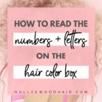 What They Mean + How to Use Them