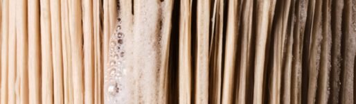 Olaplex guide to choosing a strengthening shampoo to help reduce break